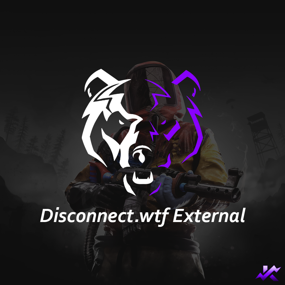 Rust | Disconnect.wtf External